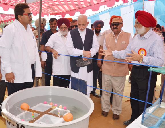 Vice Chancellor and Chief guest visited the stalls in Pashu Palan Mela on 20-09-2018